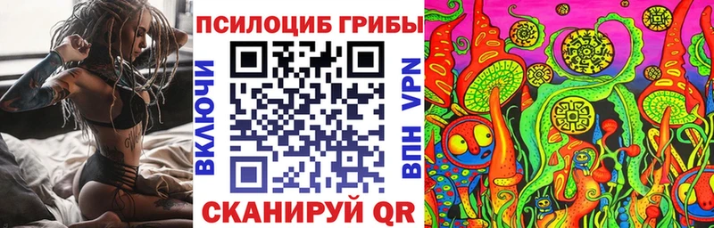 Купить где  Бахчисарай  Псилоцибиновые грибы Cubensis 